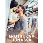 Cupido Erotiikkaa junassa E-bok