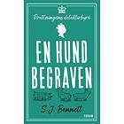 En hund begraven