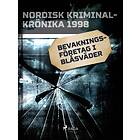 Bevakningsföretag i blåsväder E-bok