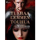 Turhaa lemmen touhua E-bok