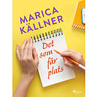 Det som får plats E-bok