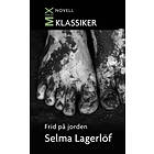 Frid på jorden E-bok