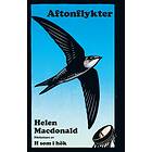 Aftonflykter