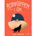 Ruinkuppen i Ur E-bok