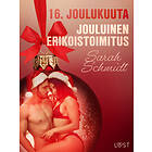 LUST 16. joulukuuta: Jouluinen erikoistoimitus – eroottinen joulukalen E-bok