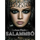 Salammbô E-bok