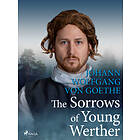 The Sorrows of Young Werther E-bok