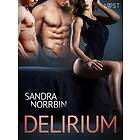 LUST Delirium eroottinen novelli E-bok