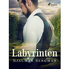 Labyrinten E-bok