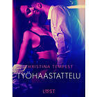 LUST Työhaastattelu – eroottinen novelli E-bok
