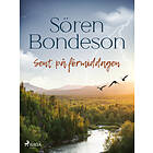 Sent på förmiddagen E-bok