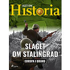 Slaget om Stalingrad E-bok