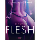 LUST Flesh erotic short story E-bok