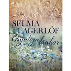 Osynliga Länkar E-bok