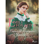 Emily Fox-Seton E-bok