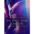 LUST En natt som Callgirl och andra erotiska noveller E-bok