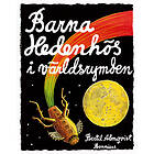 Barna Hedenhös i världsrymden E-bok