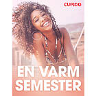 Cupido En varm semester erotiska noveller E-bok