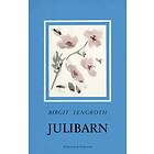 Wahlström & Widstrand Julibarn E-bok