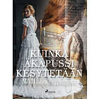 Kuinka äkäpussi kesytetään E-bok