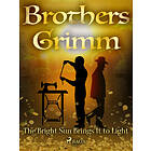 The Bright Sun Brings It to Light E-bok