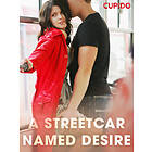 Cupido A Streetcar Named Desire E-bok