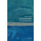 Geometry: A Very Short Introduction