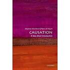 Causation: A Very Short Introduction