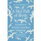 A Sky Full Of Birds