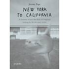 New York To California