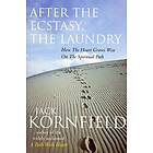 After The Ecstasy, The Laundry