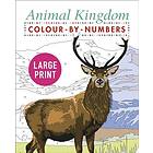 Large Print Animal Kingdom Colour-by-Numbers
