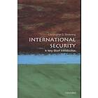 International Security: A Very Short Introduction