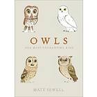 Owls
