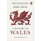 A History Of Wales