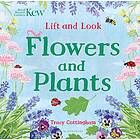 Kew: Lift And Look Flowers And Plants