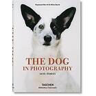 The Dog In Photography 1839–Today