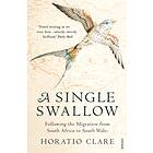 Single Swallow