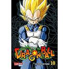 Dragon Ball Massiv 10