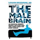 Male Brain