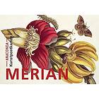 Postkarten-Set Maria Sibylla Merian