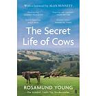 The Secret Life Of Cows