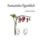 Fantastiska Ögonblick