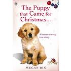The Puppy That Came For Christmas And Stayed Forever
