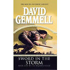 Sword In The Storm