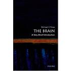 The Brain: A Very Short Introduction