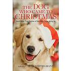 The Dog Who Came To Christmas