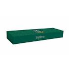 Harry Potter: Slytherin Magnetic Pencil Box