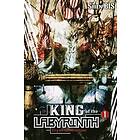 King Of The Labyrinth, Vol. 1 (light Novel)