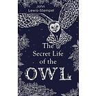 Secret Life Of The Owl